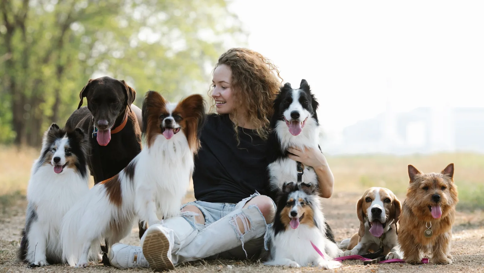 Quiz chiens Animalcenter.fr : la race selon votre profil